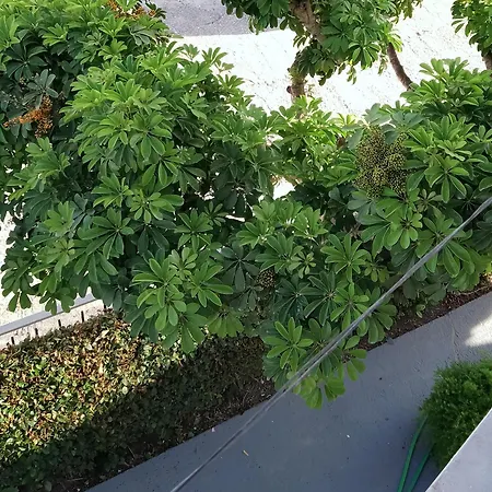 Vicky's Διαμέρισμα Κάβος