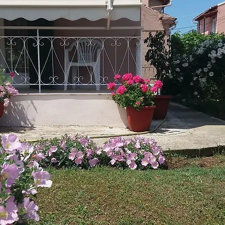 Vicky's Διαμέρισμα *