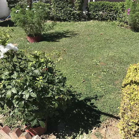 Vicky's * Κάβος